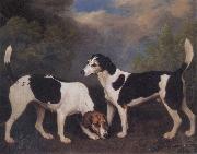 George Stubbs A Couple of Foxhounds USA oil painting artist